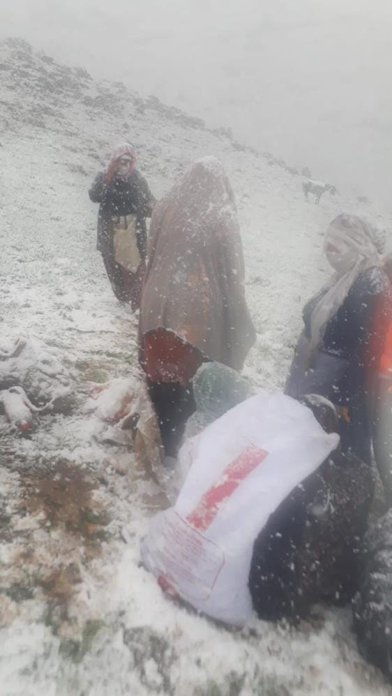 Yaylada zamana karşı yarış hayat kurtardı - Resim : 1