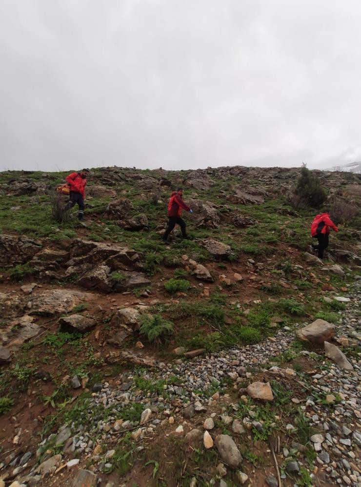 Yaylada zamana karşı yarış hayat kurtardı - Resim : 6