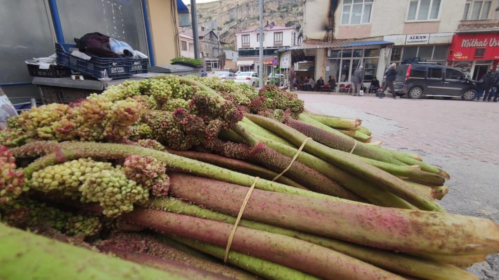 Işkın otu böbrek rahatsızlığını geçiriyor lösemi ve kansere savaş açıyor - Resim : 3