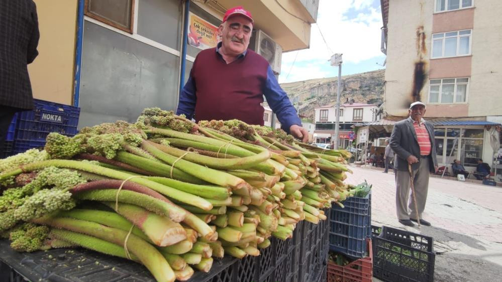 Işkın otu böbrek rahatsızlığını geçiriyor lösemi ve kansere savaş açıyor - Resim : 4