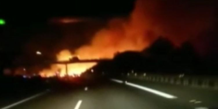 İspanya’nın başı orman yangılarıyla dertte 2 bin hektarlık alan kül oldu - Resim : 1