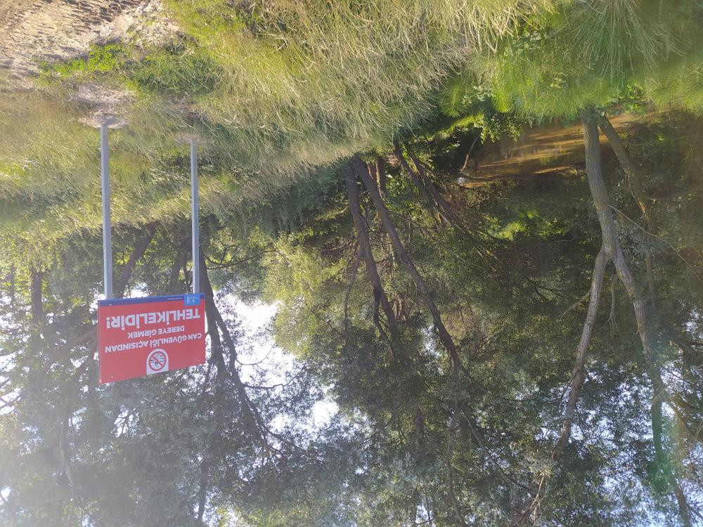 Balık sevdası canını aldı - Resim : 1