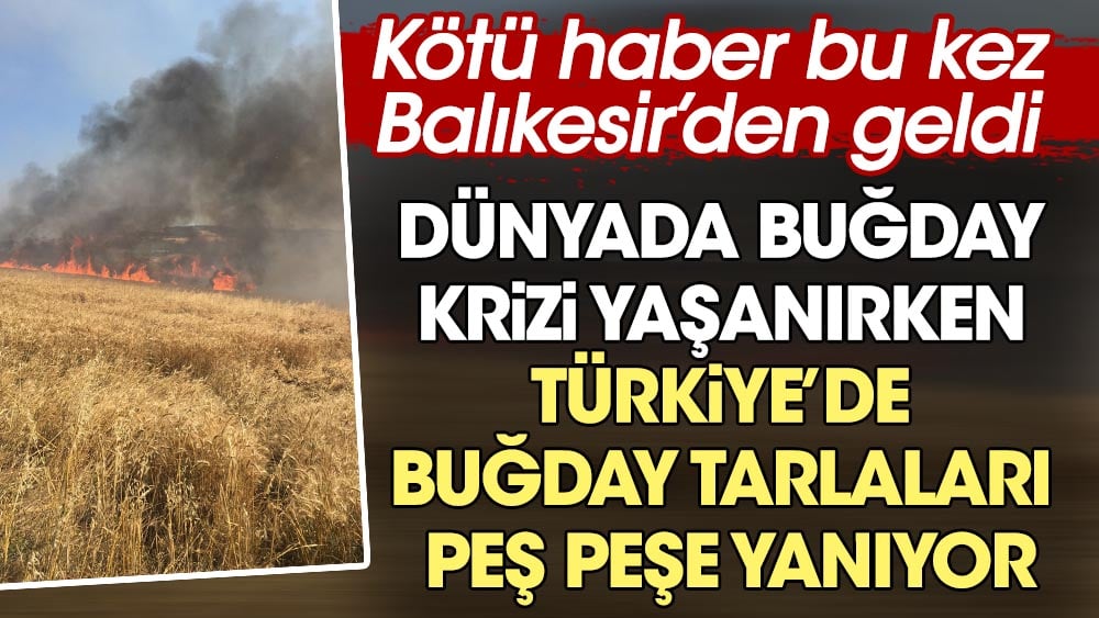 Dünyada buğday krizi yaşanırken Türkiye'de buğday tarlaları peş peşe yanıyor. Kötü haber bu kez Balıkesir'den geldi