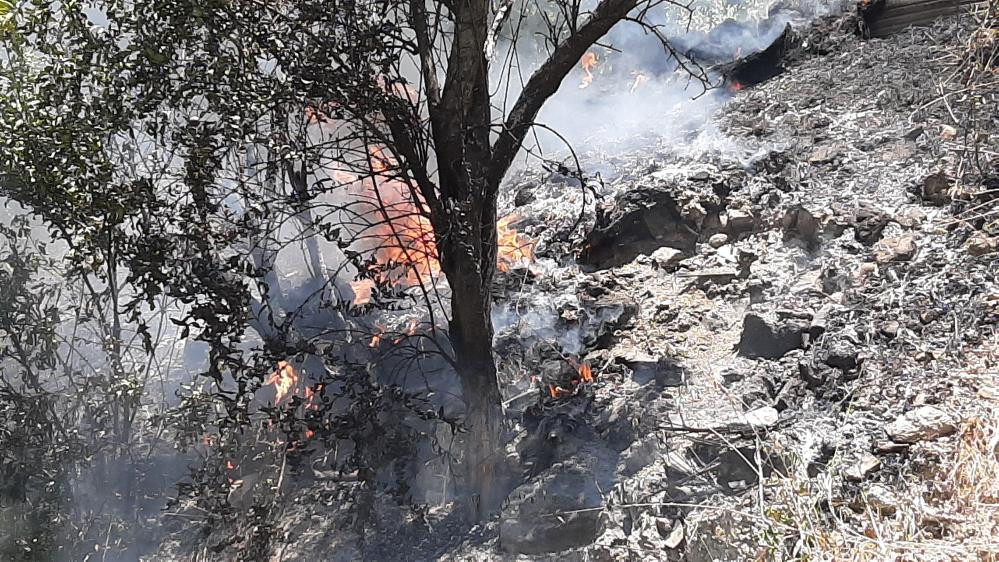 Yılan korkusu bahçe yaktırdı - Resim : 2