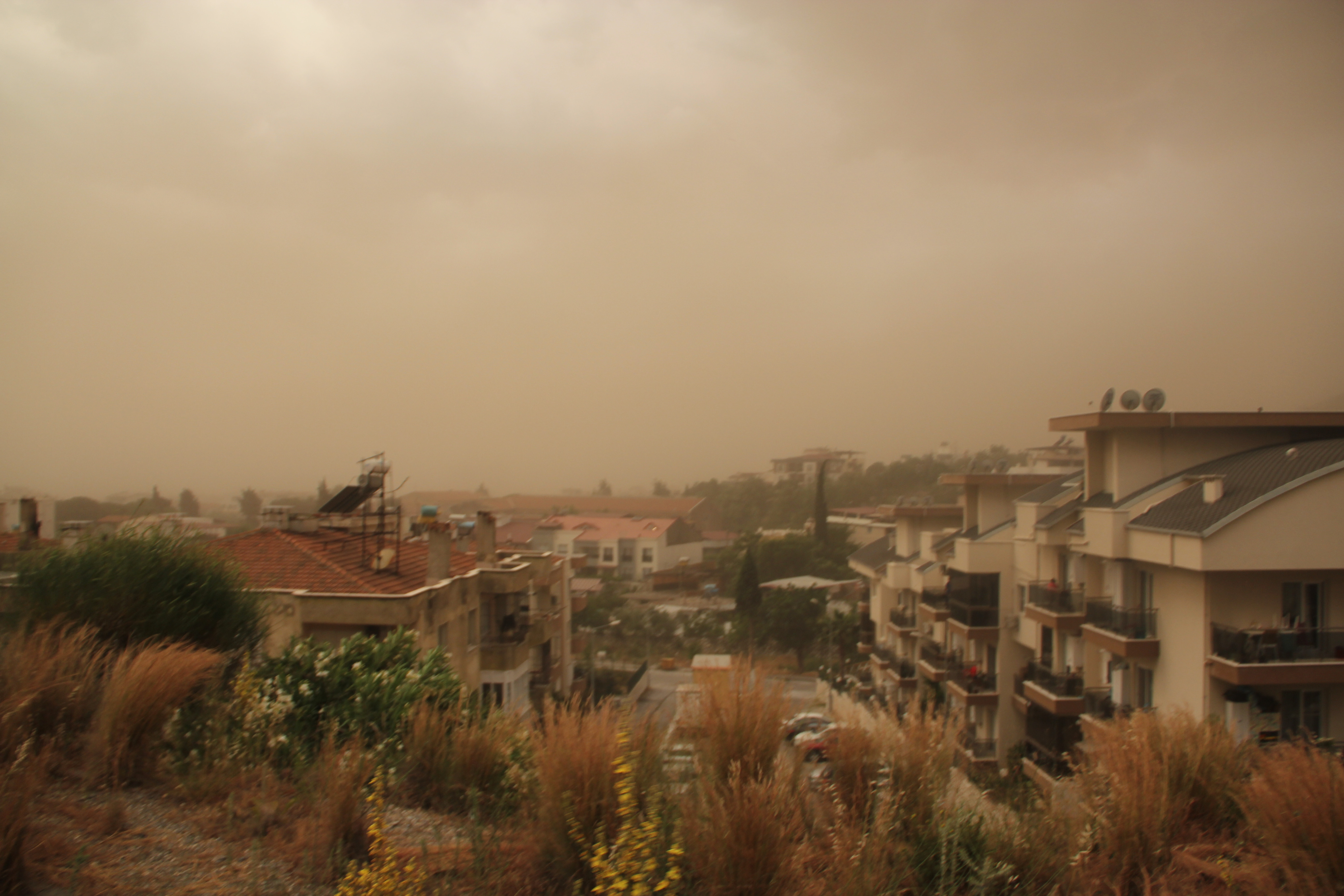 Aydın'da fırtına: Gökyüzünü toz bulutu kapladı - Resim : 1