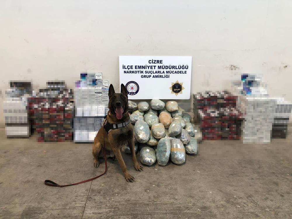 PKK'nın sigara ve esrarı yakalandı - Resim : 1