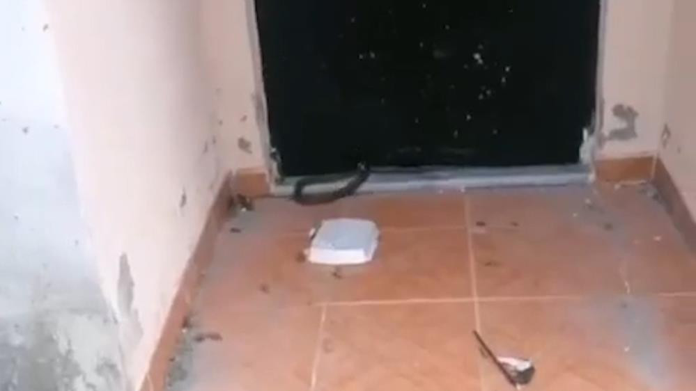 Evinin kapısında gördü tüyleri diken diken oldu - Resim : 1