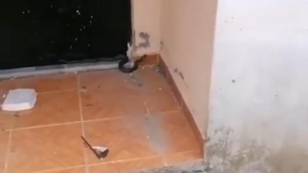 Evinin kapısında gördü tüyleri diken diken oldu - Resim : 2