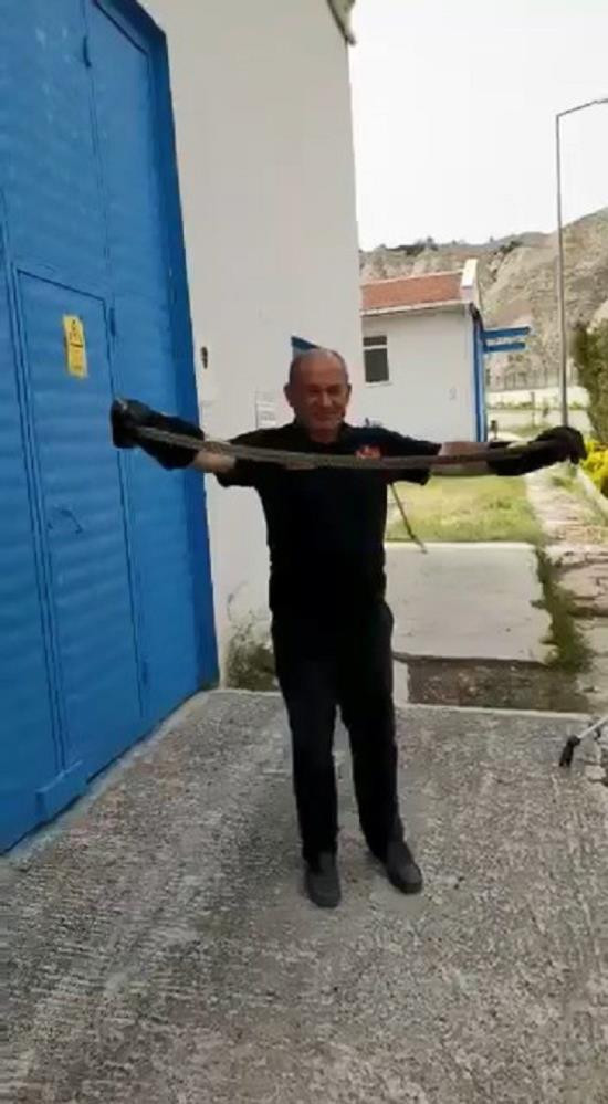 Depoda yılan alarmı - Resim : 1