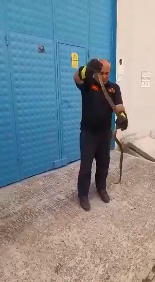 Depoda yılan alarmı - Resim : 2