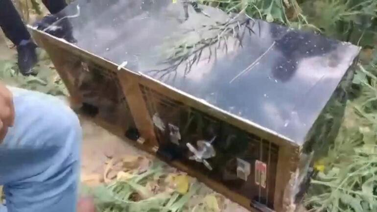 2 gün çalıştığı iş yerinden milyonluk hırsızlık - Resim : 4