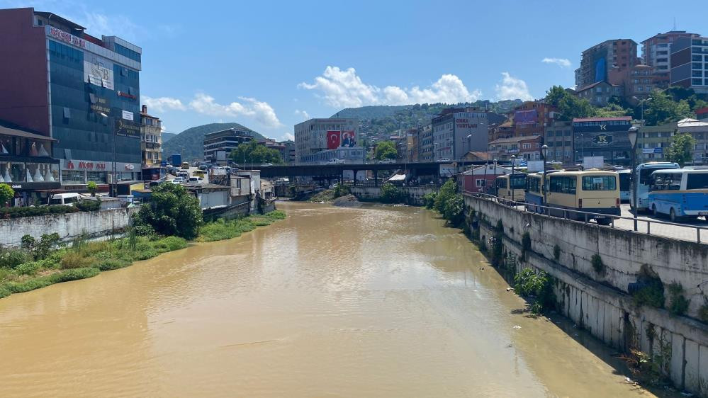 Dereler sarı sarı akıyor - Resim : 2