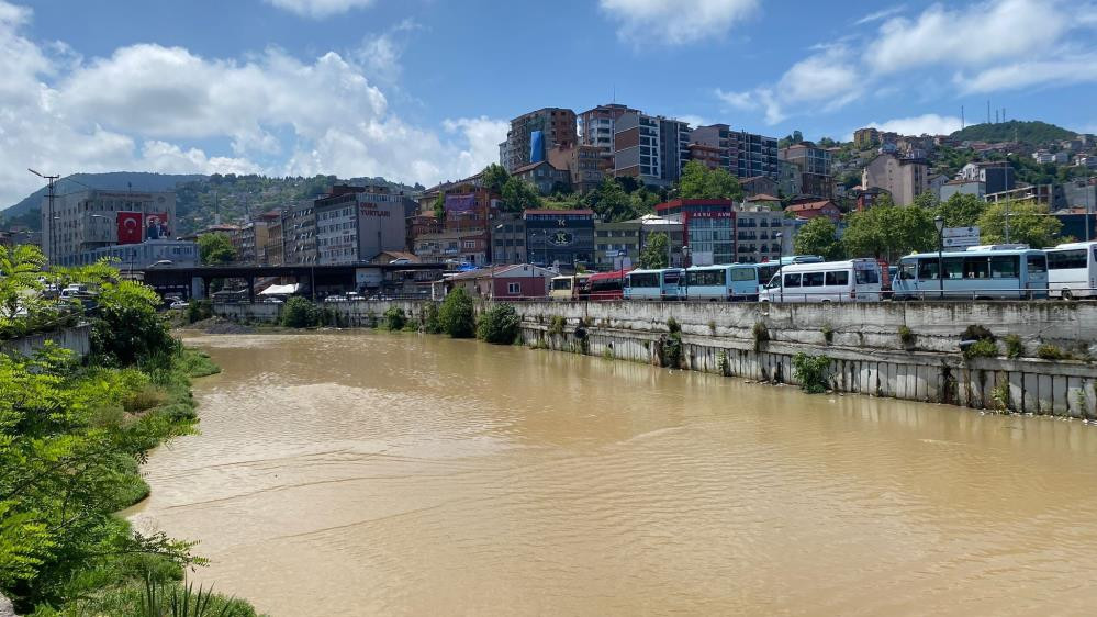 Dereler sarı sarı akıyor - Resim : 4