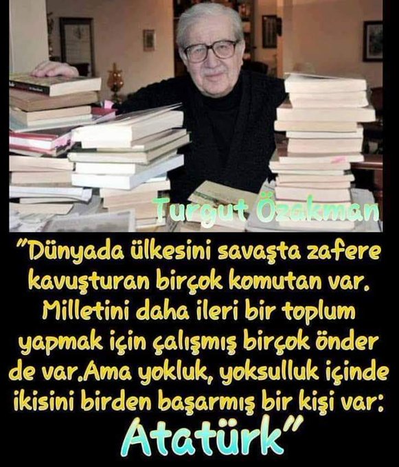Şu Çılgın Türkler by Turgut Özakman
