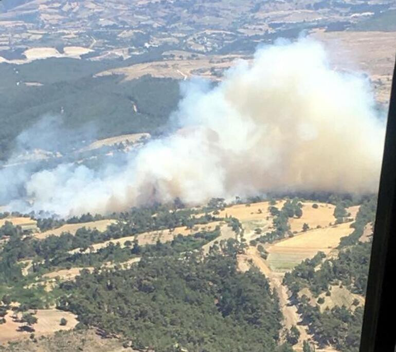 Manisa'da orman yangını - Resim : 1