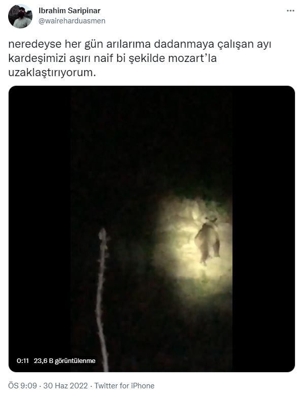 Yer Tunceli. Mozart dinletilen ayı arkasına bakmadan kaçtı - Resim : 1