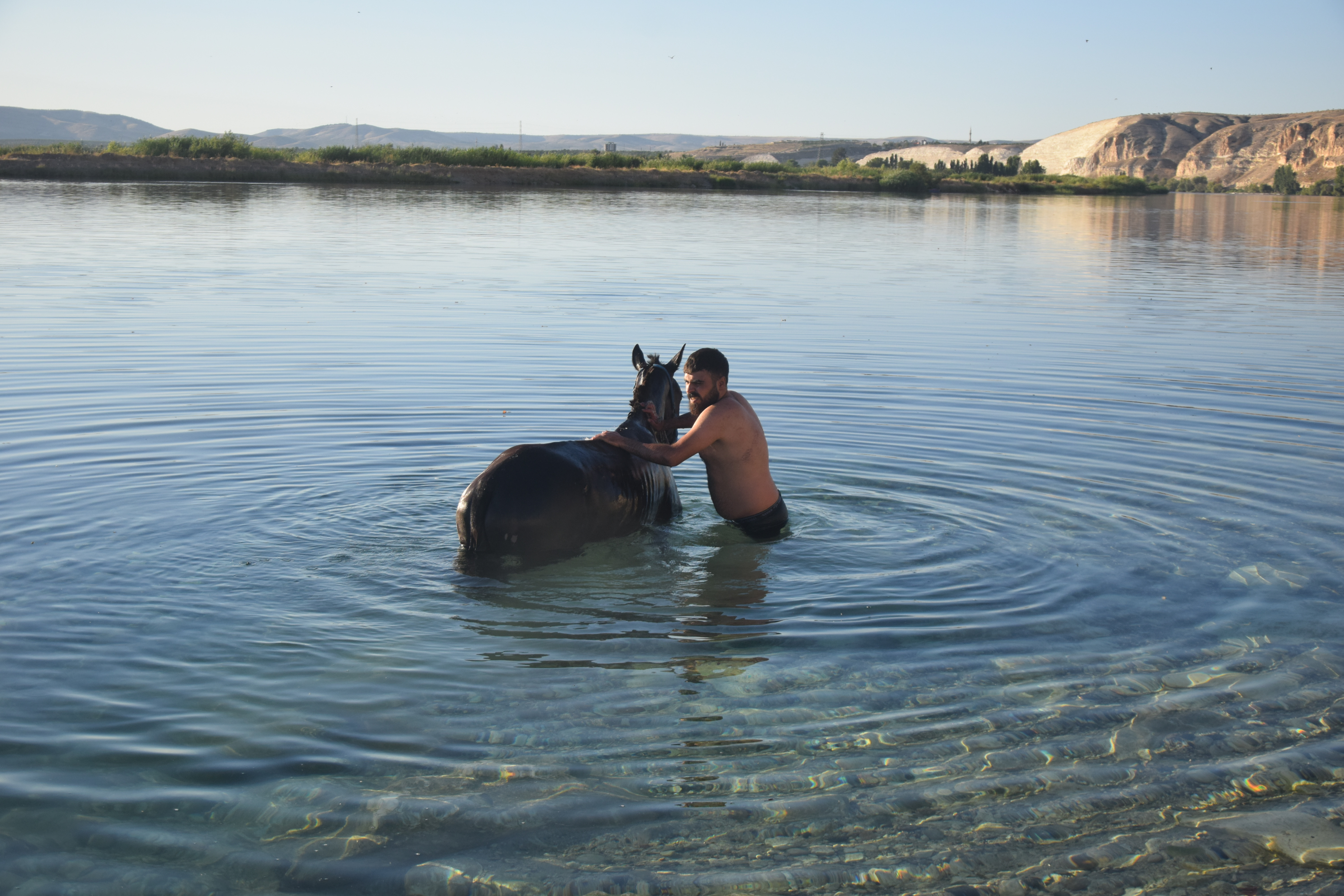 Onların da hakkı serinlemek. Sıcaktan bunalan atlar gölete sokuldu - Resim : 4