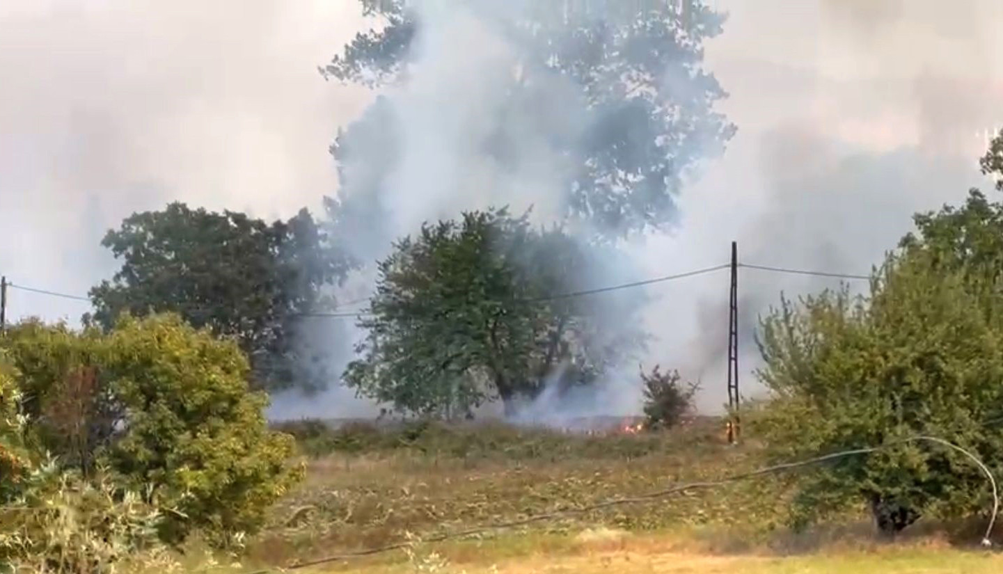 Anız yangını kampüse sıçradı - Resim : 2
