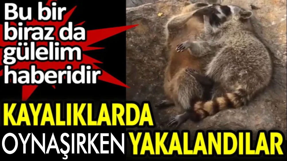 kayalıklarda oynaşırken yakalandılar bu bir biraz da gülelim haberidir