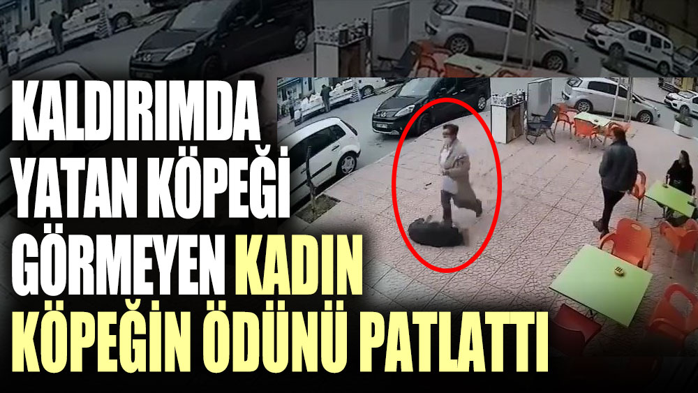 Kaldırımda Yatan Köpeği Görmeyen Kadın Köpeğin ödünü Patlattı