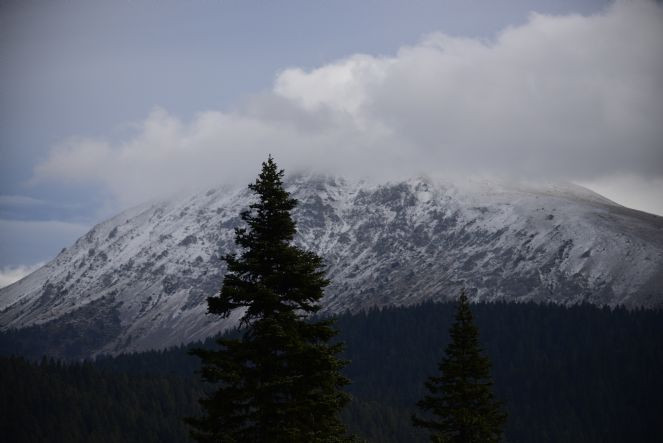 Ilgaz'ın dorukları beyaza büründü - Resim : 2