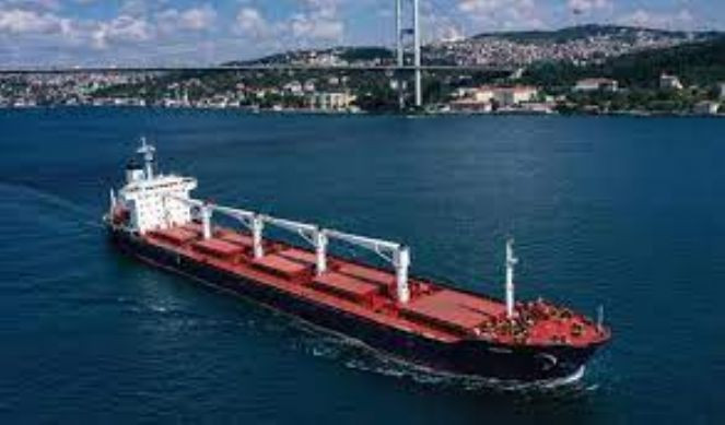 Tahıl koridorundan 501 gemi ile 12 milyon tondan fazla tahıl taşındı - Resim : 7