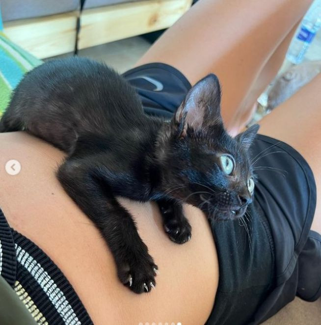 Dünya rekortmeni serbest dalıcımız Şahika Encümen'e Mısır'dan gelen misafir - Resim : 3