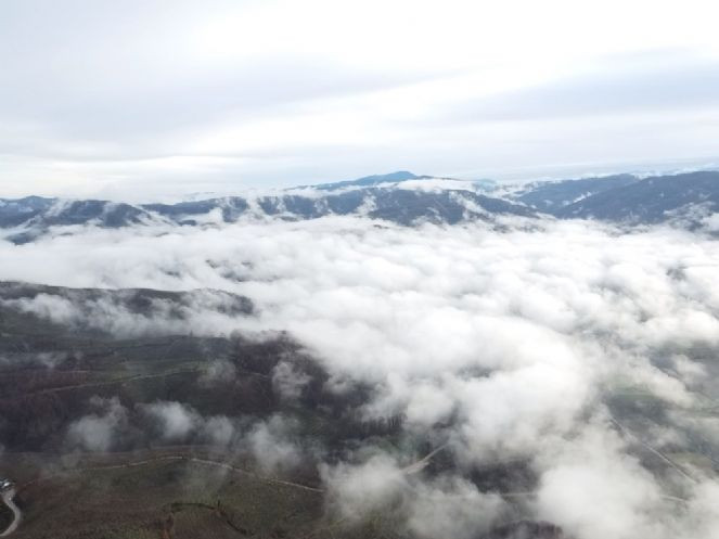 Düzce'nin üzerini sis tabakası kapladı - Resim : 4