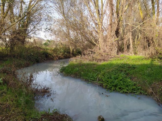 Çatalca’daki Muratbey Deresi’nin rengi kimyasal atıklardan dolayı maviye döndü - Resim : 1