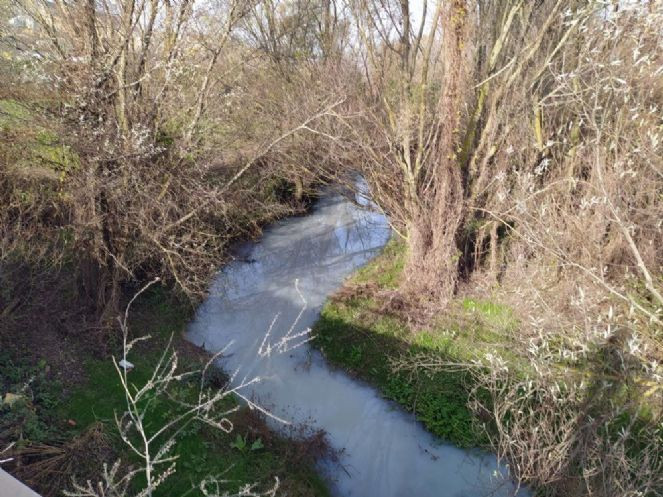 Çatalca’daki Muratbey Deresi’nin rengi kimyasal atıklardan dolayı maviye döndü - Resim : 2