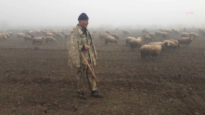 Vatandaş böyle seslendi: Sabah 5'te askeri diziyor önümüze Soylu neredesin - Resim : 1