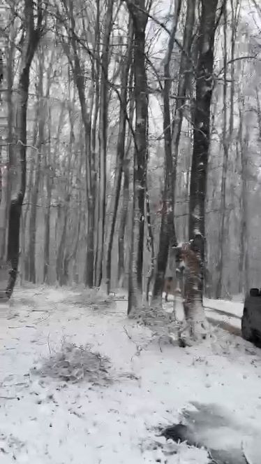 İznik‘te kar etkisini sürdürüyor - Resim : 2