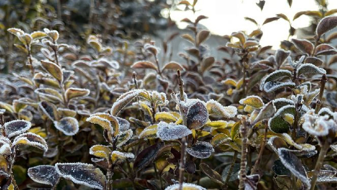 Doğu Anadolu'da soğuk hava ve kar etkili oluyor - Resim : 2