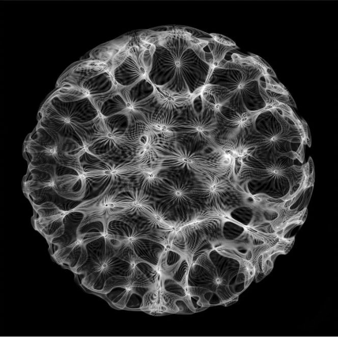 ''FRESH'' sergisi NOKS Art Space’de - Resim : 1