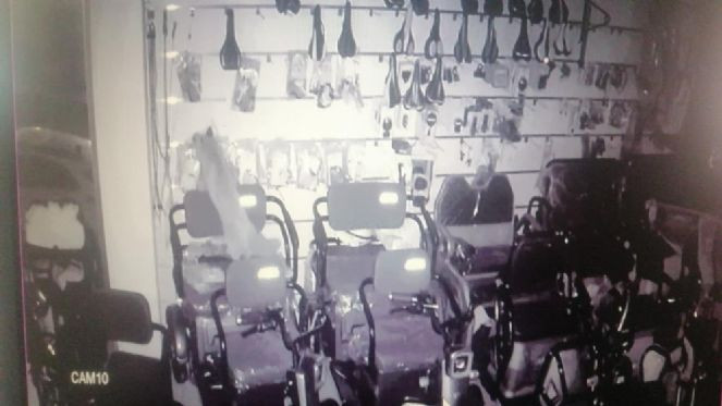 Kurnaz tilki mağazayı savaş alanına çevirdi - Resim : 2