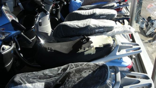 Kurnaz tilki mağazayı savaş alanına çevirdi - Resim : 4