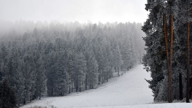 Doğu Anadolu'da soğuk hava ve kar etkili oluyor - Resim : 2
