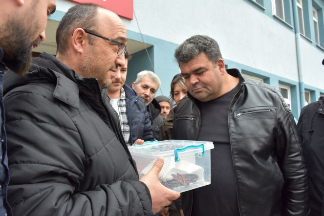 Jandarmanın durdurduğu otomobilden 2 boa yılanı çıktı - Resim : 1