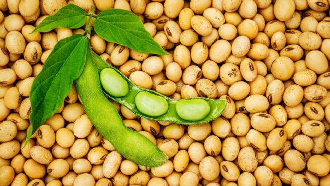 Bu yiyecekler boyun kısa olmasına neden oluyor - Resim : 1