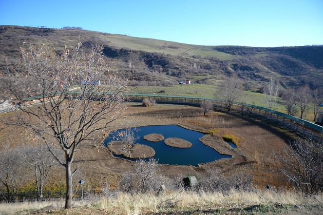 Bingöl'ün yüzen adaları ziyaretçi sayısında zirveyi gördü - Resim : 3