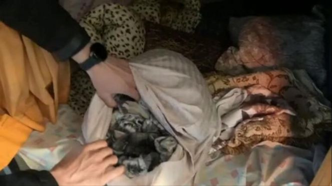 Gürcistan sınırında 500 çinçilla postu ele geçirildi - Resim : 3