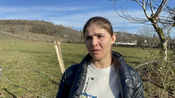 Otlayan gebe manda maganda başından vurarak öldürdü - Resim : 6