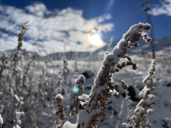 Doğu Anadolu'da kar ve soğuk hava etkili oluyor - Resim : 4