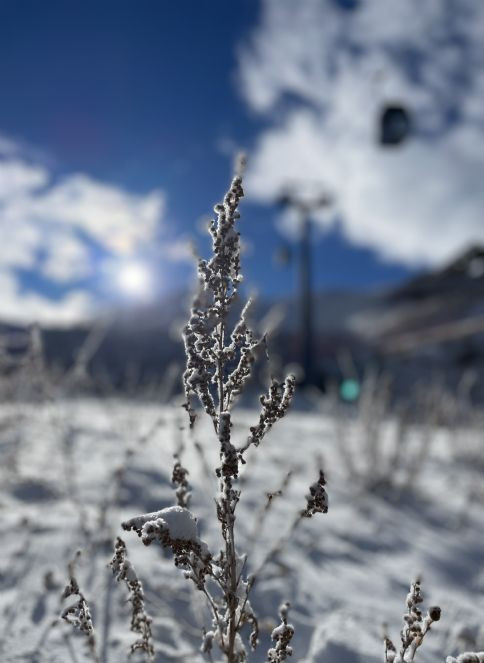 Doğu Anadolu'da kar ve soğuk hava etkili oluyor - Resim : 7