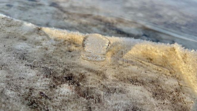 Ağrı buz tuttu - Resim : 1