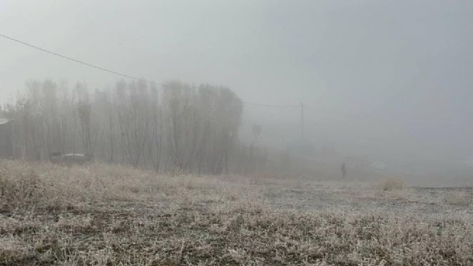 Ağrı buz tuttu - Resim : 4