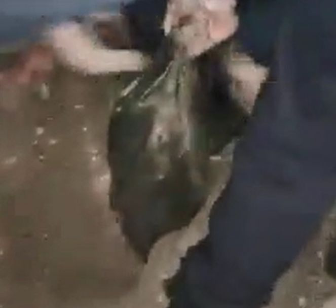 Kayseri'de bir evin bahçesine gömülü uzun namlulu silah ve tabanca ele geçirildi - Resim : 2