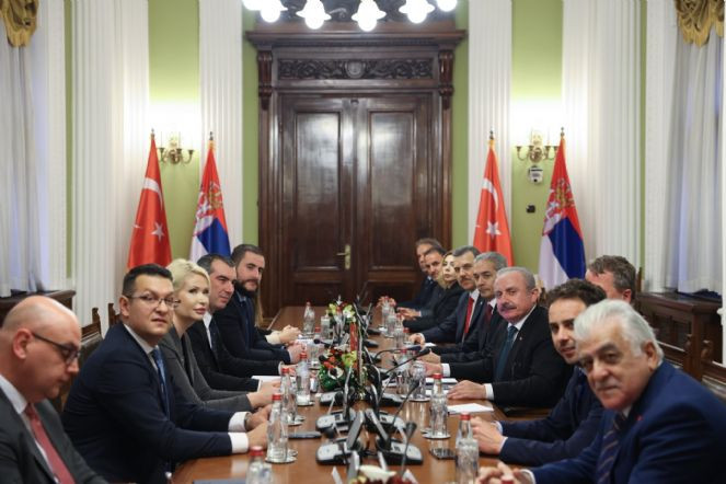TBMM Başkanı Şentop, Sırbistan Ulusal Meclis Başkanı ile görüştü - Resim : 1