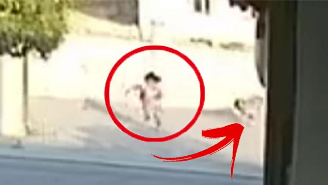 Köpek saldırdı küçük kız çocuğu otomobil altında kalmaktan son anda kurtuldu - Resim : 1