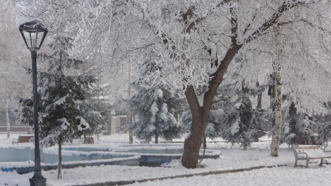 Ardahan buz kesti, havaya serpilen sıcak su dondu - Resim : 5